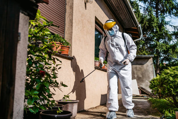 Best Best Pest Control Companies  in Splendora, TX