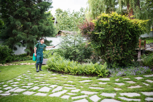 Best Residential Pest Control  in Splendora, TX