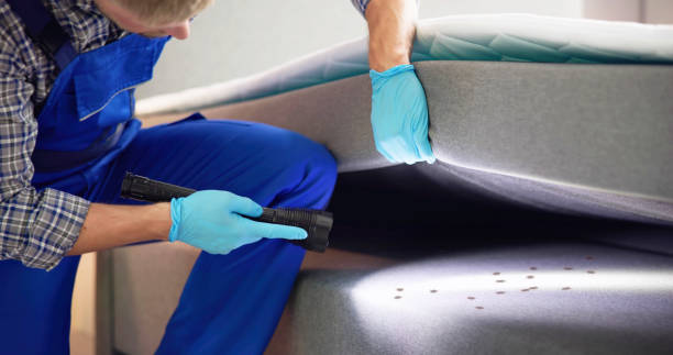 Flea Control Services in Splendora, TX
