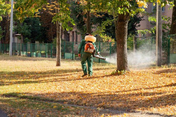 Best Emergency Pest Control  in Splendora, TX