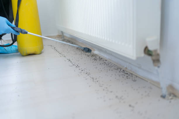 Best Affordable Pest Control Services  in Splendora, TX